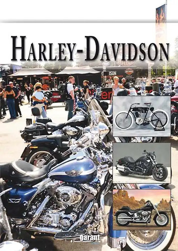 Harley davidson zustand - davidson,