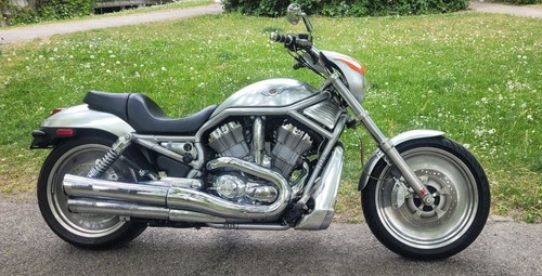 Harley davidson rod - harley,